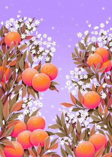 Orange front cover by Laurie-Anne Poquet